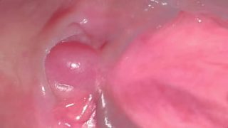 Amateur Pink Pussy: 275 Days Of Raw, Unfiltered Lust Since Losing Her Virginity