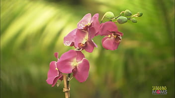 Outdoor Vr Fantasy: Pounding A Gorgeous Blonde From Behind