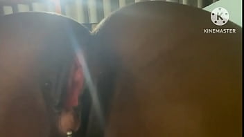 Hot Wife’s Final Fuck Of The Year With Her Cuck