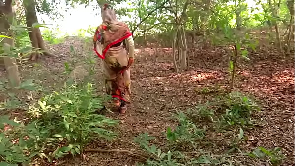 Wild Desi Christmas: Radhika’s Jungle Heat