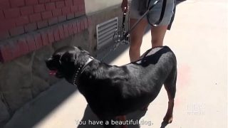 Outdoor Pov: Alexis Cherry’s Mouth Overflows With Hot Cum