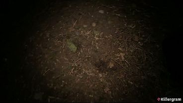 Killergram – Classy Slut Takes It All In A Dirty Outdoor Gangbang, Begging For Every Stranger’s Thick Load