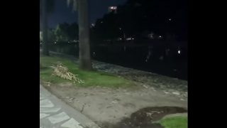 Turra, Chupame La Pija Al Aire Libre