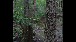 Forest Creampie With That Freaky Florida Chick, Wild And Dripping
